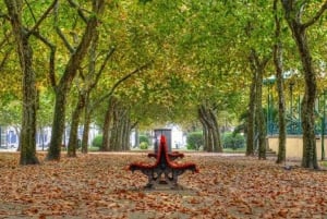 Porto : visite à vélo de 3 heures