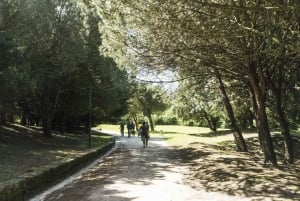 Porto : visite à vélo de 3 heures
