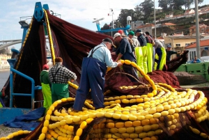 Porto : visite à vélo de 3 heures
