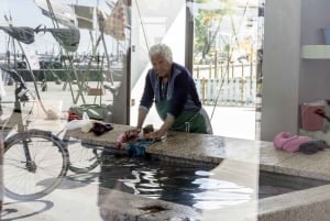 Porto : visite à vélo de 3 heures