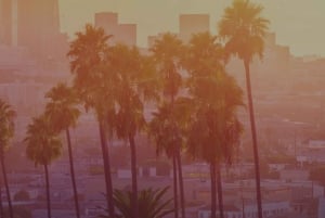 Privat el-sykkeltur i Porto: Elven Douro, parker og strender