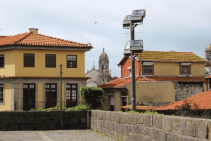 Porto : visite à pied de 3 heures et visite de la librairie Lello