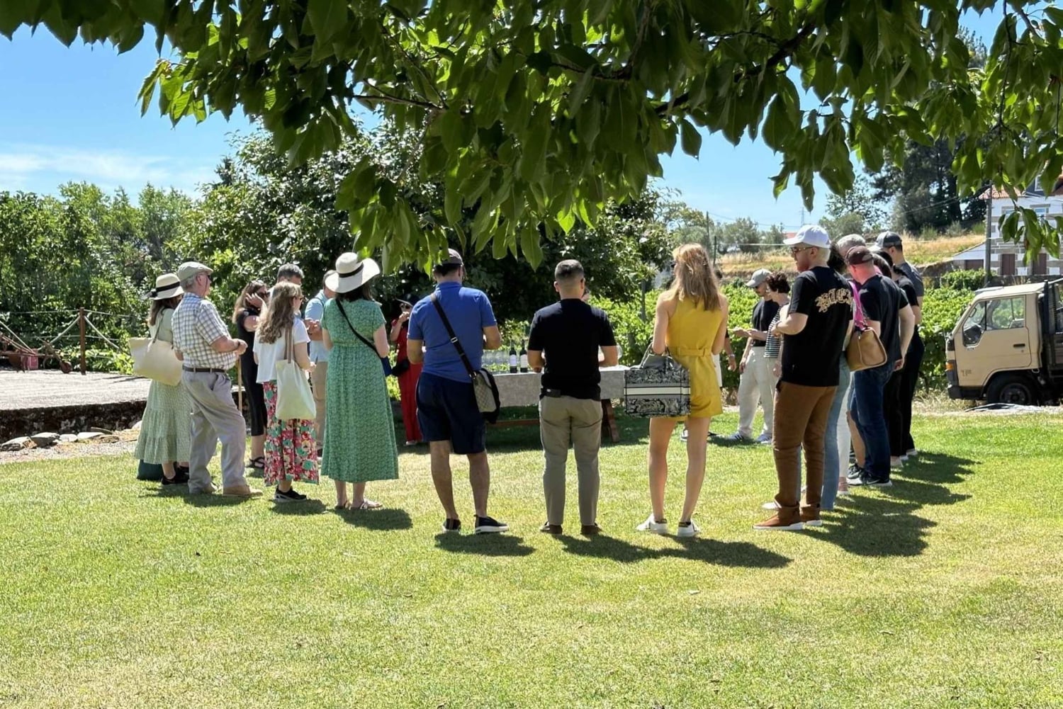 Porto: 3 vinregioner och lunch på en gård med utsikt för små grupper
