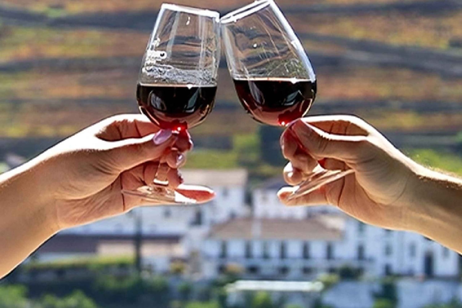 Porto: 3 vinregioner och lunch på en gård med utsikt för små grupper