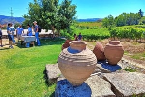 Porto: 3 vinregioner och lunch på en gård med utsikt för små grupper