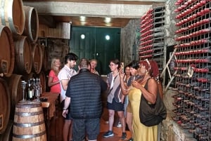 Porto: 3 vinregioner och lunch på en gård med utsikt för små grupper