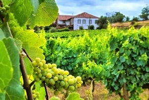 Porto: 3 vinregioner och lunch på en gård med utsikt för små grupper