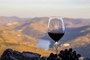 Porto: 3 vinregioner och lunch på en gård med utsikt för små grupper