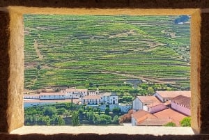 Porto: 3 vinregioner och lunch på en gård med utsikt för små grupper