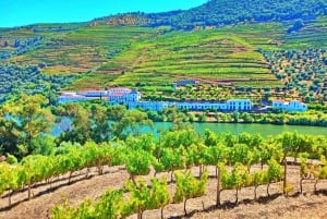 Porto: 3 vinregioner och lunch på en gård med utsikt för små grupper