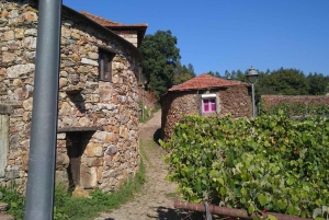 Porto: Tur i bergen med fyrhjulsdrivet fordon