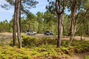 Porto: Tur i bergen med fyrhjulsdrivet fordon