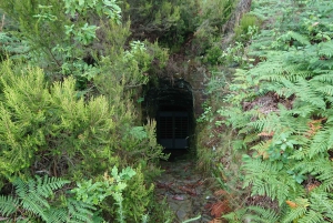 Porto: Tur i bergen med fyrhjulsdrivet fordon