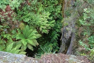 Porto: Tur i bergen med fyrhjulsdrivet fordon