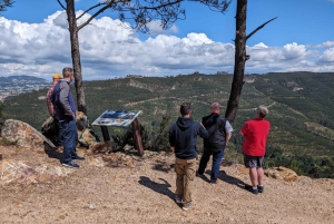 Porto: Tur i bergen med fyrhjulsdrivet fordon