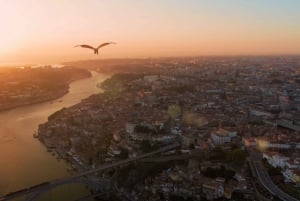 Porto: 5D-flytur over byen for hele familien.