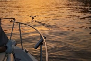 Porto: Rejs po 6 mostach i wino portowe z opcją zachodu słońca