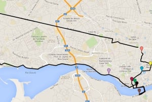 Excursion de 6 heures à Porto autour du vin et de la gastronomie à vélo