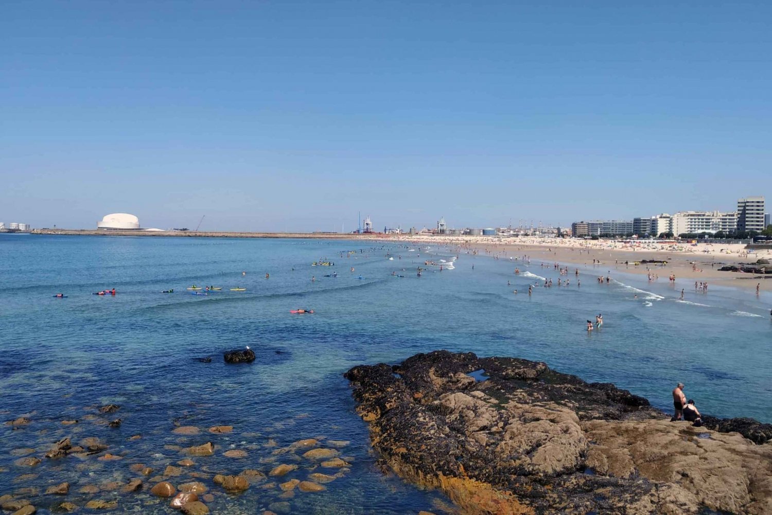 Oporto: un paseo por la costa en un divertido coche ecológico