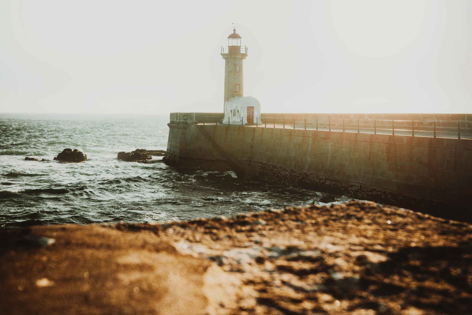 Porto: a ride along the coast in a fun eco-friendly car