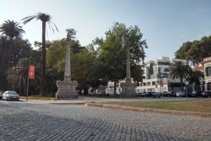 ポルト：楽しい環境に優しい車で海岸沿いをドライブ