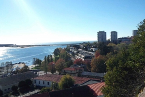 ポルト：楽しい環境に優しい車で海岸沿いをドライブ