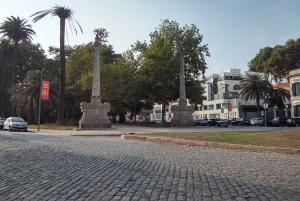 Porto: a ride along the coast in a fun eco-friendly car