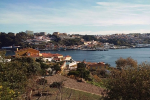 Porto: a ride along the coast in a fun eco-friendly car