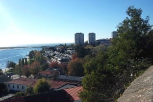 Oporto: un paseo por la costa en un divertido coche ecológico