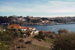 Oporto: un paseo por la costa en un divertido coche ecológico