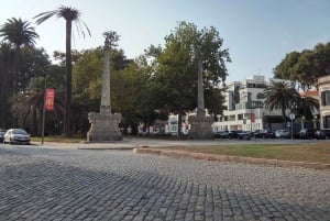 Oporto: un paseo por la costa en un divertido coche ecológico