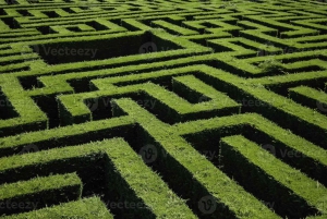 Porto: Ace of Cups Escape Room Expereince