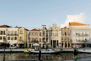 Porto: Abenteuer von lissabon nach porto
