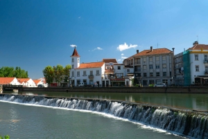 Porto: Adventure from lisbon to porto