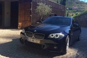 Traslado do aeroporto do Porto (de/para o centro da cidade do Porto)