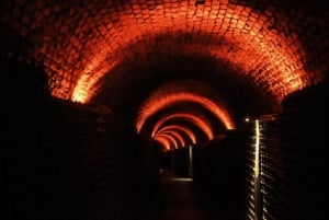 Porto: Tour del museo sotterraneo Aliança con degustazione