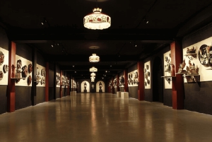 Porto : visite du musée souterrain Aliança avec dégustation