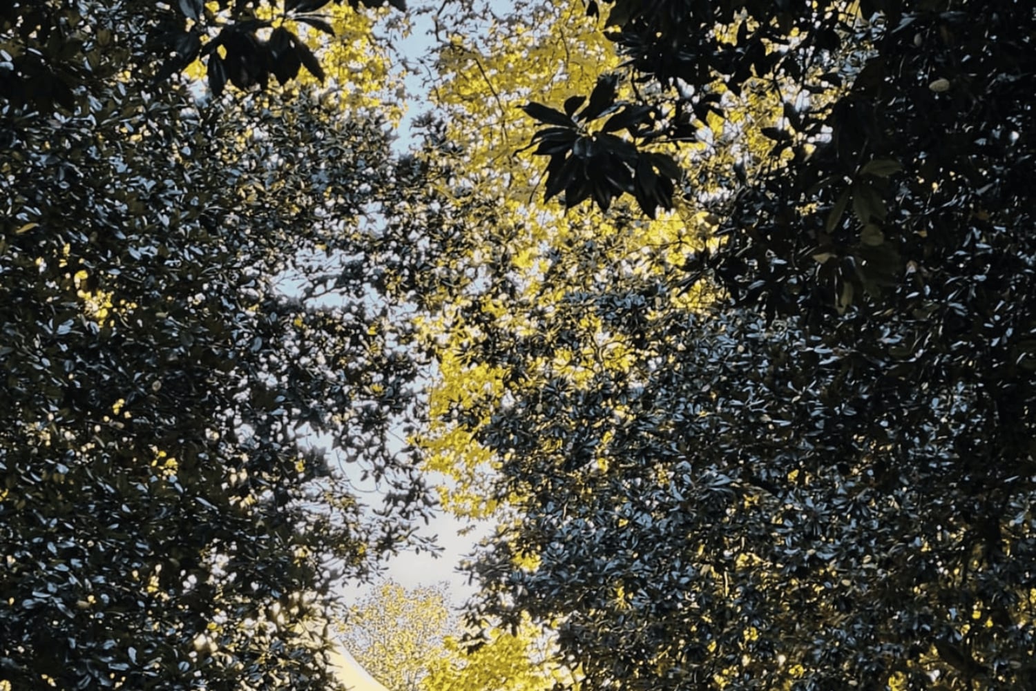 Porto : visite authentique avec déjeuner inclus