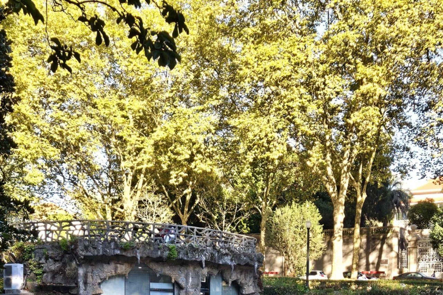 Porto : visite authentique avec déjeuner inclus