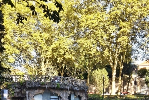 Porto: en autentisk lokal tur med lunch inkluderad