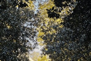 Porto : visite authentique avec déjeuner inclus