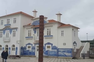 Viagem de 1 dia privada a Porto e Aveiro a partir de Lisboa