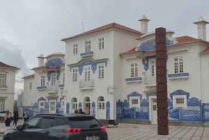 Viagem de 1 dia privada a Porto e Aveiro a partir de Lisboa