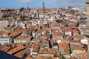 Viagem de 1 dia privada a Porto e Aveiro a partir de Lisboa