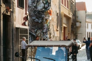 Porto/Gaia: wycieczka prywatna po zabytkowym centrum i plaży