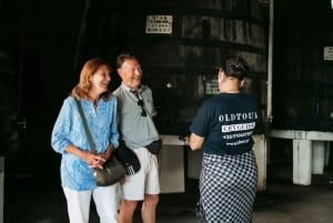 Porto/Gaia: wycieczka prywatna po zabytkowym centrum i plaży