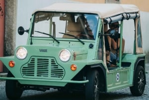 Porto/Gaia: wycieczka prywatna po zabytkowym centrum i plaży