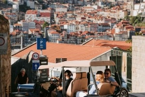 Porto/Gaia: wycieczka prywatna po zabytkowym centrum i plaży