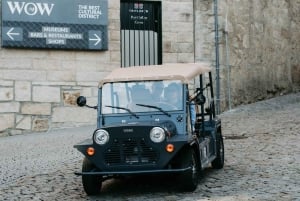 Porto/Gaia: wycieczka prywatna po zabytkowym centrum i plaży