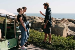 Porto/Gaia: wycieczka prywatna po zabytkowym centrum i plaży